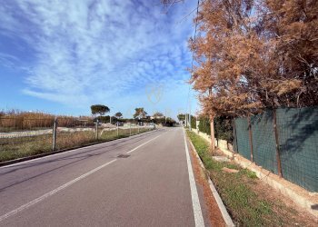 Foto 10 - Terreno agricolo Via Lungomare, Fossacesia - foto 10