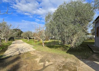 Foto 43 - Villa Strada vicinale serra di lioni
 
30, Sassari - foto 43