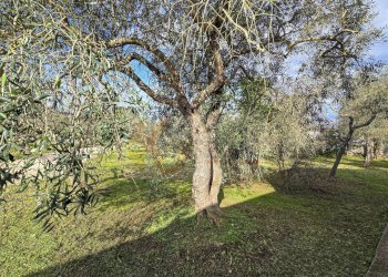 Foto 44 - Villa Strada vicinale serra di lioni
 
30, Sassari - foto 44