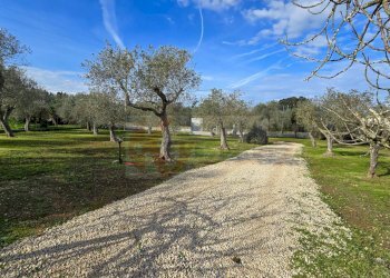 Foto 47 - Villa Strada vicinale serra di lioni
 
30, Sassari - foto 47