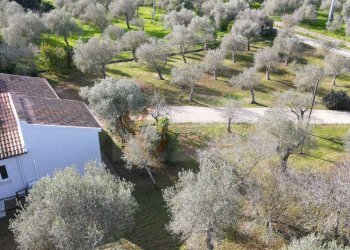 Foto 59 - Villa Strada vicinale serra di lioni
 
30, Sassari - foto 59