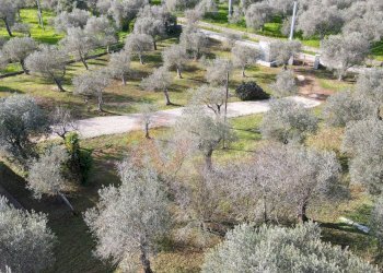 Foto 60 - Villa Strada vicinale serra di lioni
 
30, Sassari - foto 60