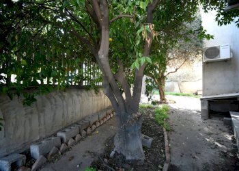 Giardino - Independent house Cagliari - photo 22