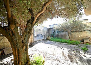 Giardino - Independent house Cagliari - photo 24