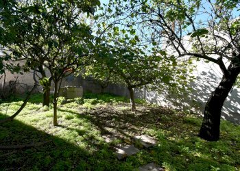 Giardino - Independent house Cagliari - photo 32