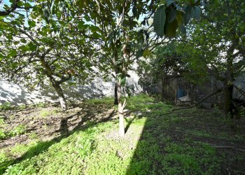 Giardino - Appartamento Cagliari - foto 31