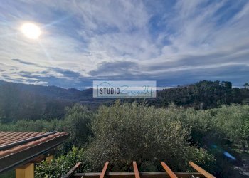 Foto 32 - Casa semi indipendente Camaiore - foto 32