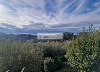 Foto 38 - Casa semi indipendente Camaiore - foto 38