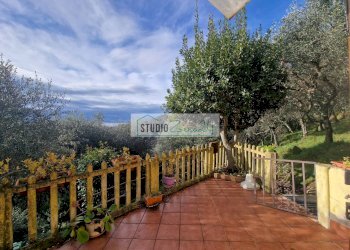 Foto 48 - Casa semi indipendente Camaiore - foto 48