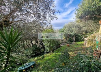 Foto 51 - Casa semi indipendente Camaiore - foto 51