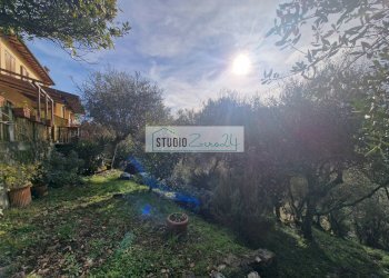 Foto 52 - Casa semi indipendente Camaiore - foto 52