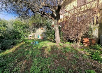 Foto 54 - Casa semi indipendente Camaiore - foto 54