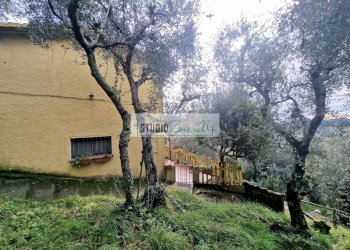 Foto 57 - Casa semi indipendente Camaiore - foto 57