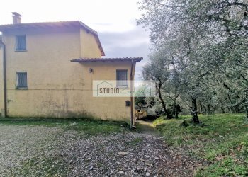 Foto 61 - Casa semi indipendente Camaiore - foto 61