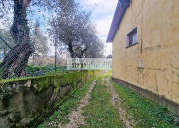 Foto 62 - Casa semi indipendente Camaiore - foto 62