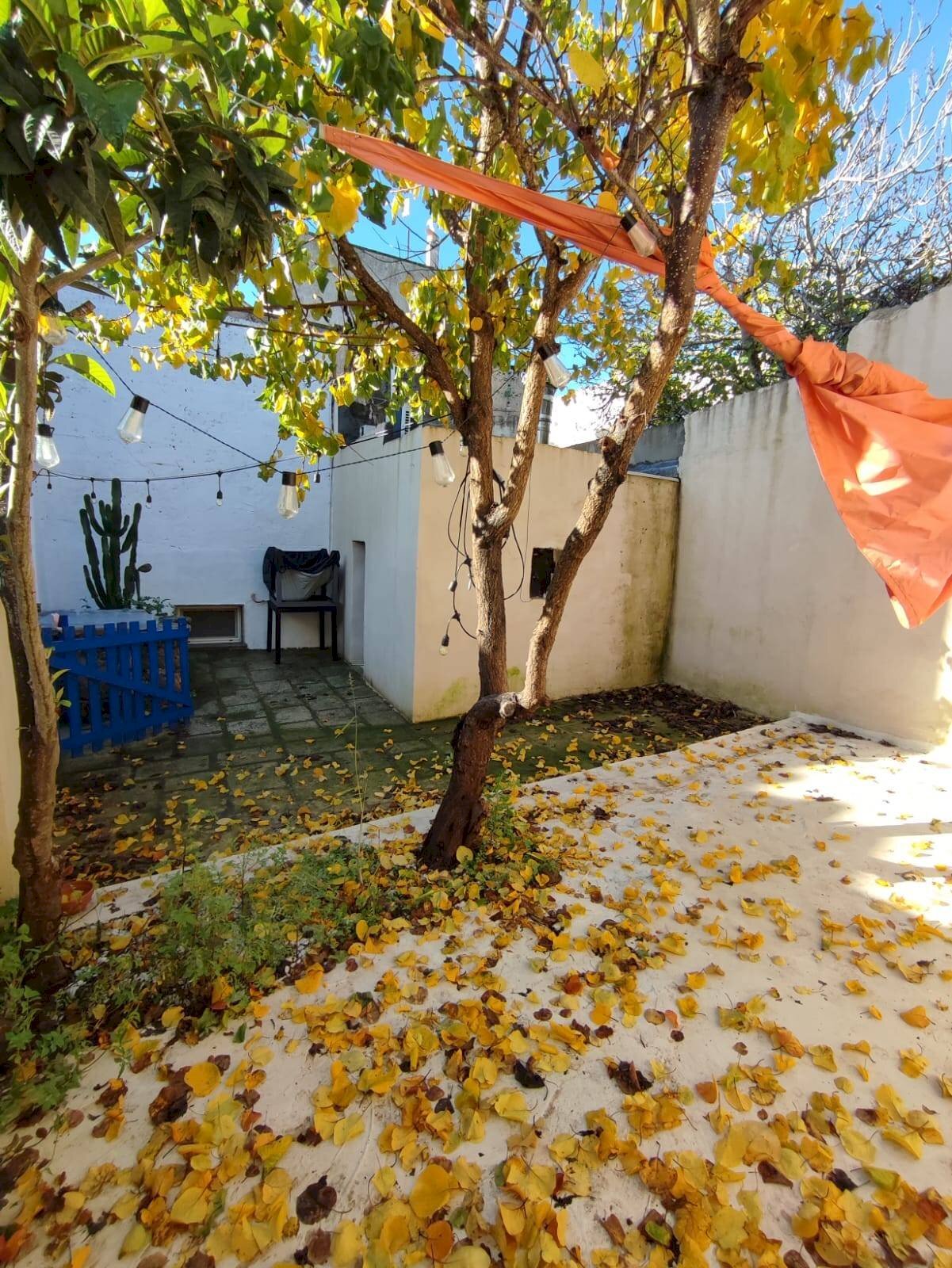 Foto 1 - Villa Bifamiliare vittorio veneto, Tuglie - foto 1