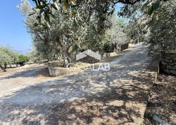 Foto 22 - Villa via egitto
 
59, Carini - foto 21