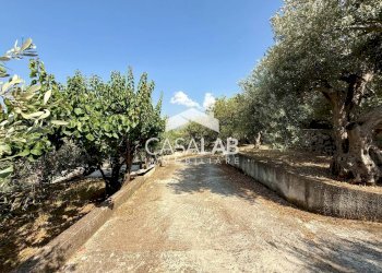 Foto 27 - Villa via egitto
 
59, Carini - foto 26