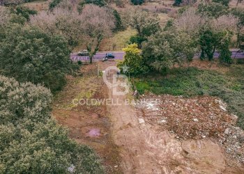 Foto 6 - Villa Via Vallerano, Roma - foto 6