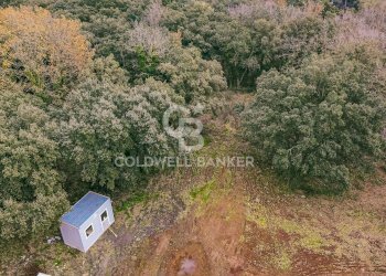 Foto 7 - Villa Via Vallerano, Roma - foto 7