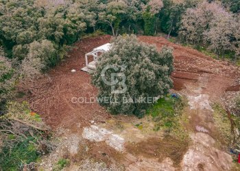 Foto 8 - Villa Via Vallerano, Roma - foto 8