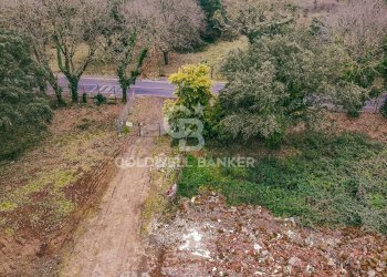 Foto 11 - Villa Via Vallerano, Roma - foto 11