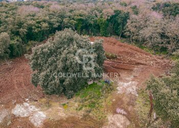 Foto 12 - Villa Via Vallerano, Roma - foto 12