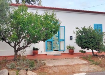 Foto 4 - Trilocale Fraz. Giuncana, Viddalba - foto 4