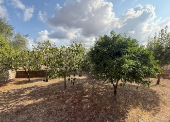 Foto 26 - Villa via Cesare Battisti
 
7/a, Perfugas - foto 26