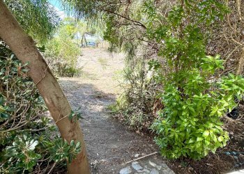 Foto 26 - Bilocale San Pietro a mare, Valledoria - foto 26