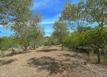 Foto 4 - Rustico Via Fante di Sotto
 
1, Spinetoli - foto 4