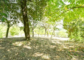 Foto 10 - Rustico Via Fante di Sotto
 
1, Spinetoli - foto 10