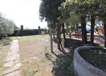 Foto 30 - Villa Grottammare - foto 30