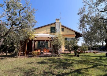 Foto 31 - Villa Grottammare - foto 31