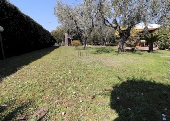 Foto 33 - Villa Grottammare - foto 33