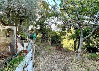 Foto 25 - Casa semi indipendente Grottammare - foto 25