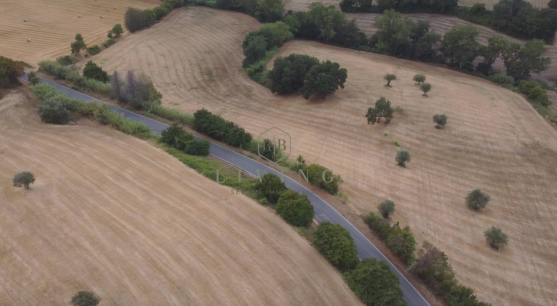 Foto 2 - Agricultural land Contrada San pietro
 
snc, Massignano - photo 2