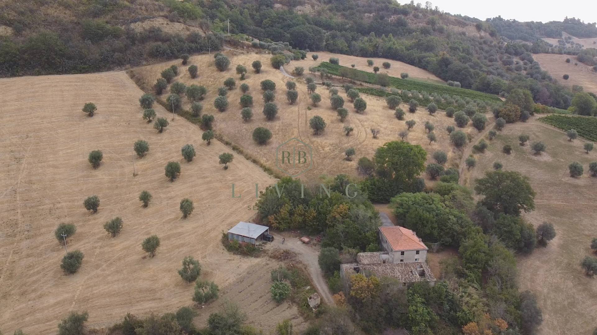 Foto 3 - Agricultural land Contrada San pietro
 
snc, Massignano - photo 3