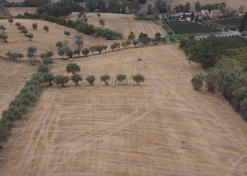 Foto 1 - Agricultural land Contrada San pietro
 
snc, Massignano - photo 1