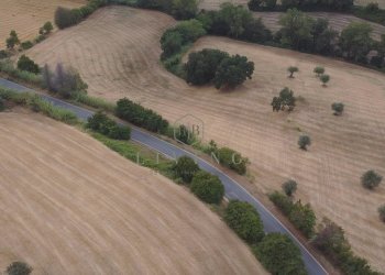 Foto 2 - Agricultural land Contrada San pietro
 
snc, Massignano - photo 2