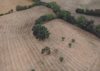 Foto 4 - Agricultural land Contrada San pietro
 
snc, Massignano - photo 4