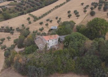 Foto 5 - Agricultural land Contrada San pietro
 
snc, Massignano - photo 5