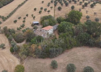 Foto 6 - Agricultural land Contrada San pietro
 
snc, Massignano - photo 6