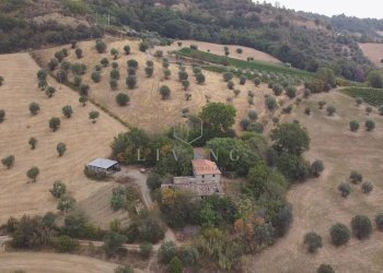 Foto 7 - Agricultural land Contrada San pietro
 
snc, Massignano - photo 7