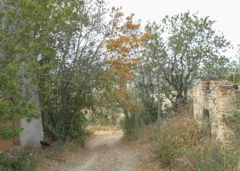 Foto 9 - Rustic Contrada San pietro
 
snc, Massignano - photo 9