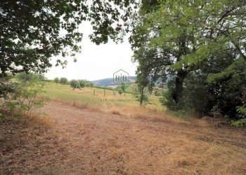 Foto 14 - Rustic Contrada San pietro
 
snc, Massignano - photo 14