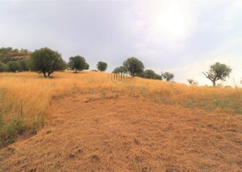 Foto 16 - Rustic Contrada San pietro
 
snc, Massignano - photo 16