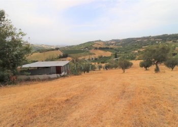 Foto 17 - Rustic Contrada San pietro
 
snc, Massignano - photo 17