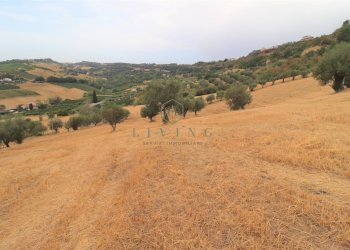 Foto 18 - Rustic Contrada San pietro
 
snc, Massignano - photo 18