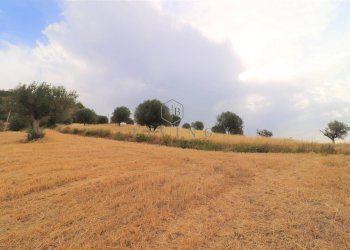 Foto 19 - Rustic Contrada San pietro
 
snc, Massignano - photo 19